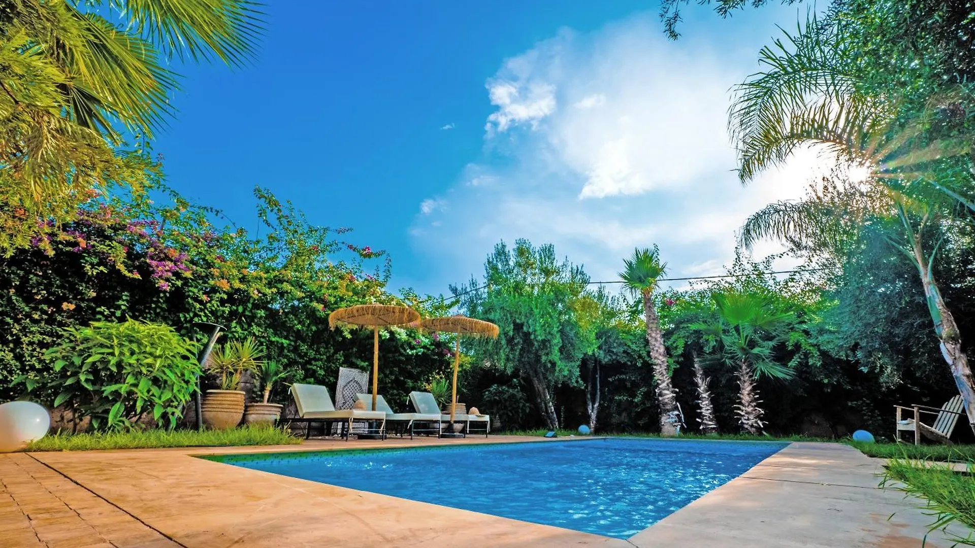 Villa Olive 马拉喀什