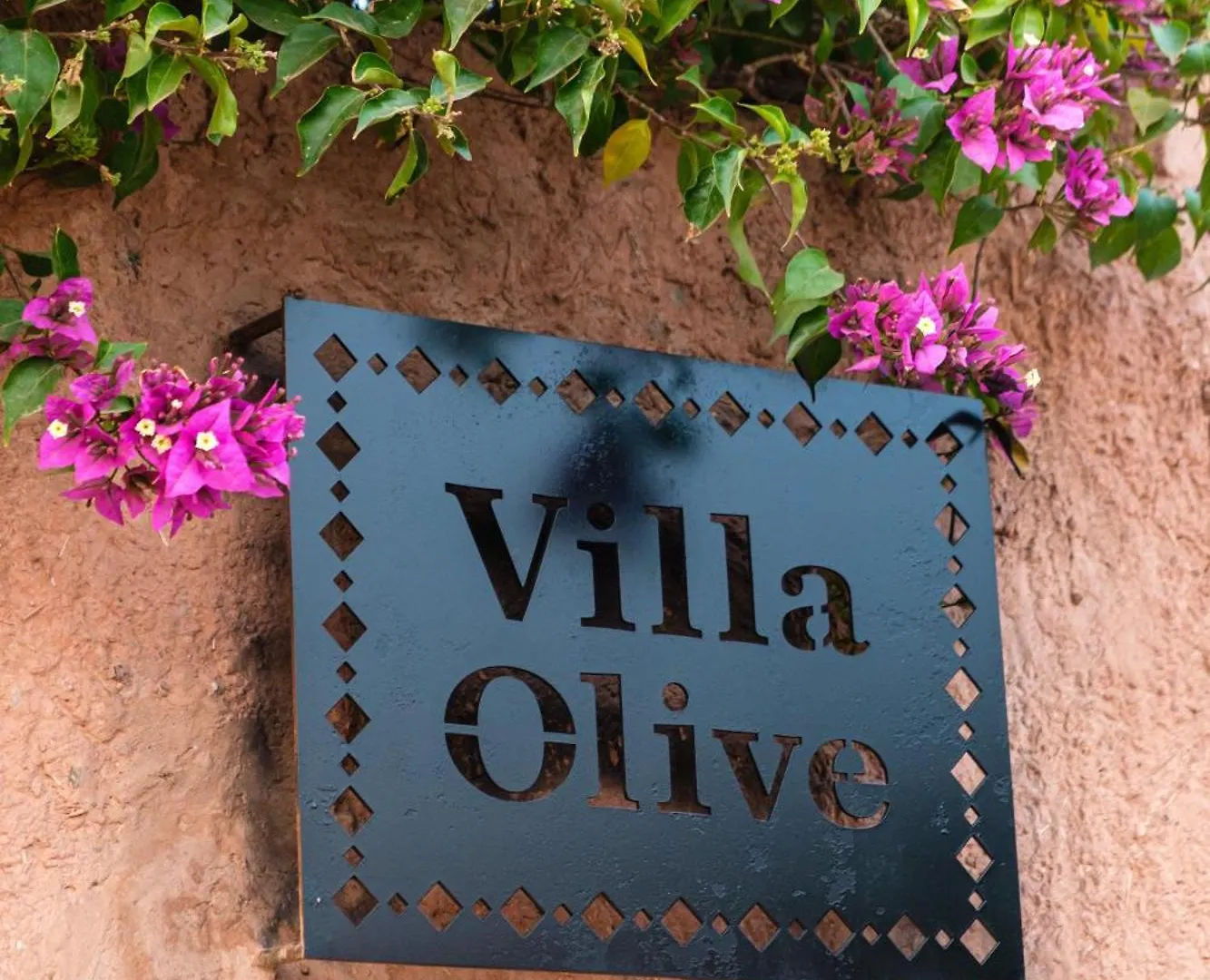 Villa Olive 马拉喀什 摩洛哥